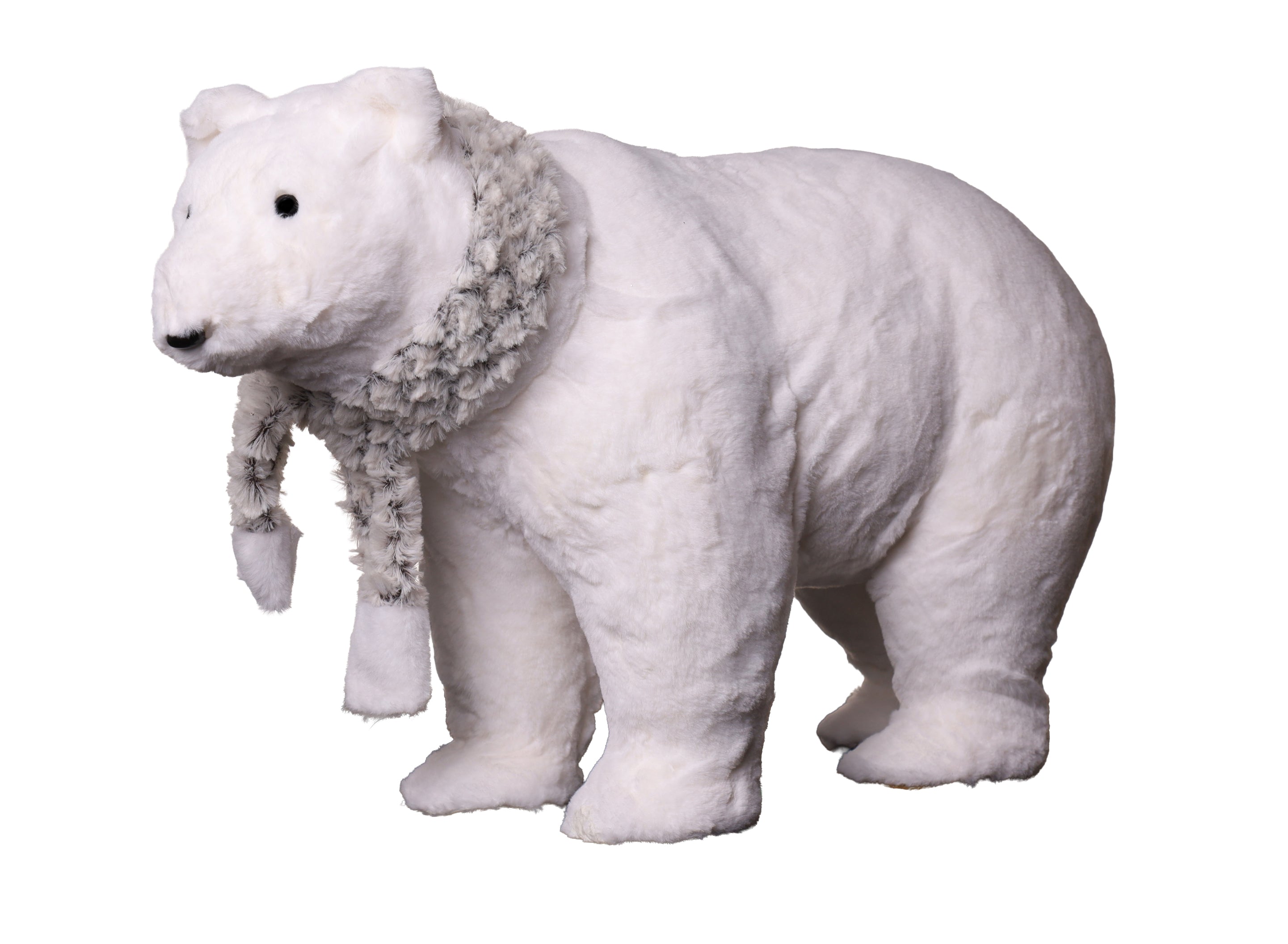 Oso Polar
