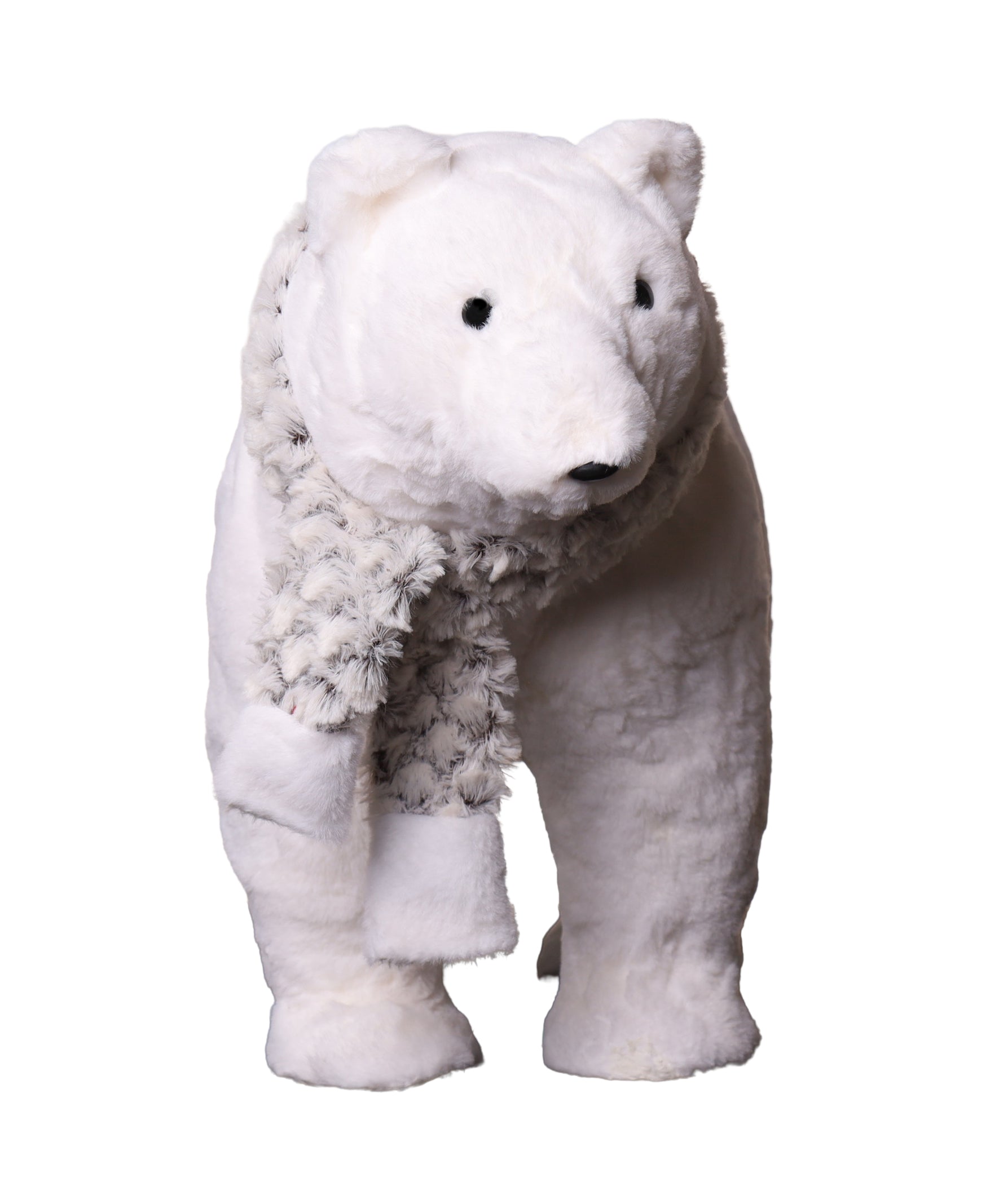 Oso Polar