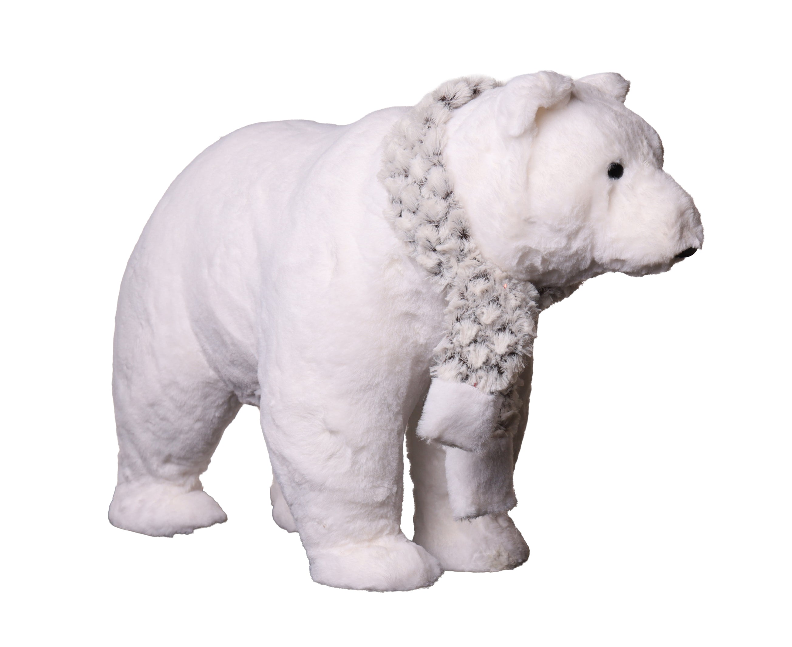 Oso Polar